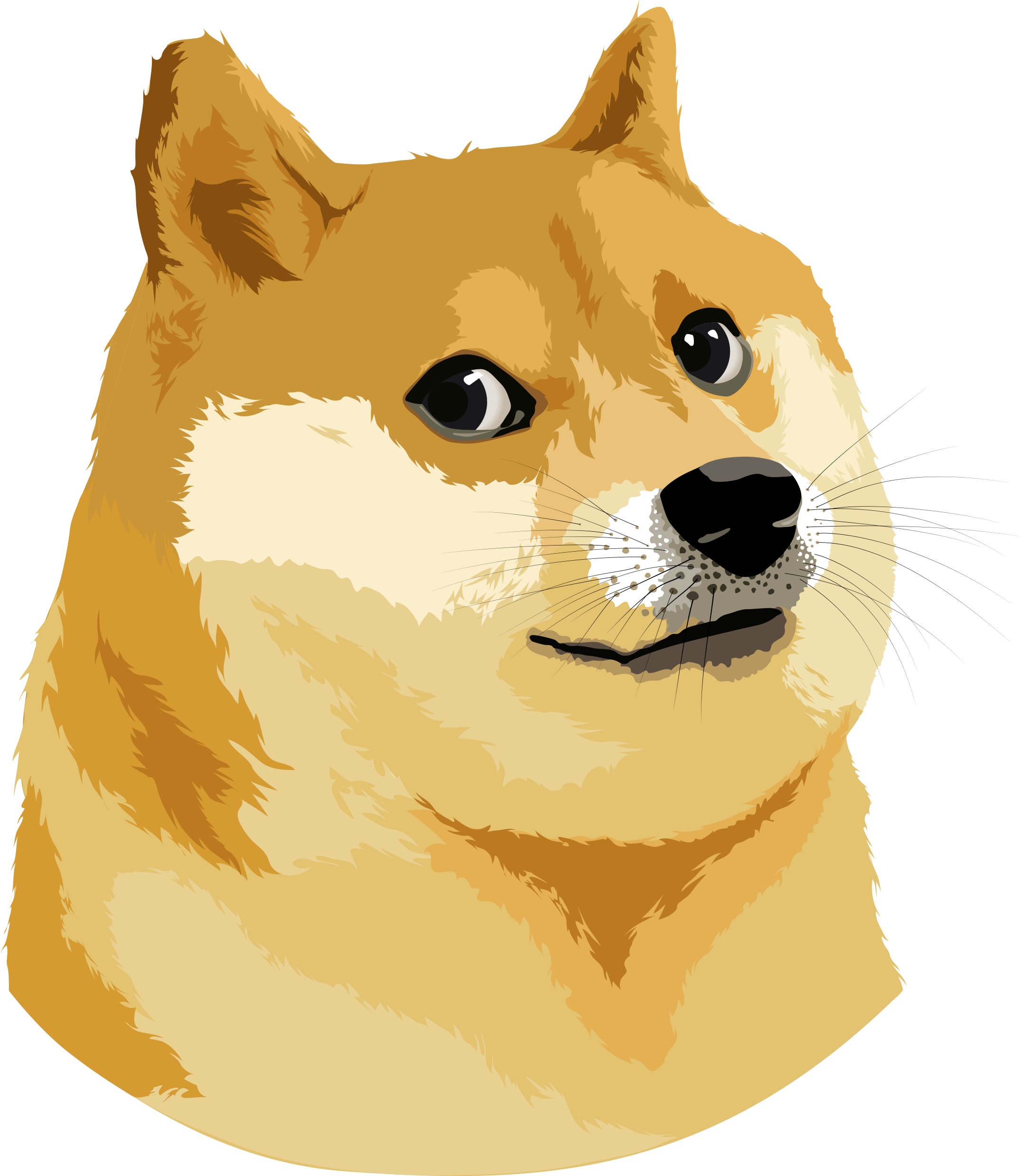 Doge